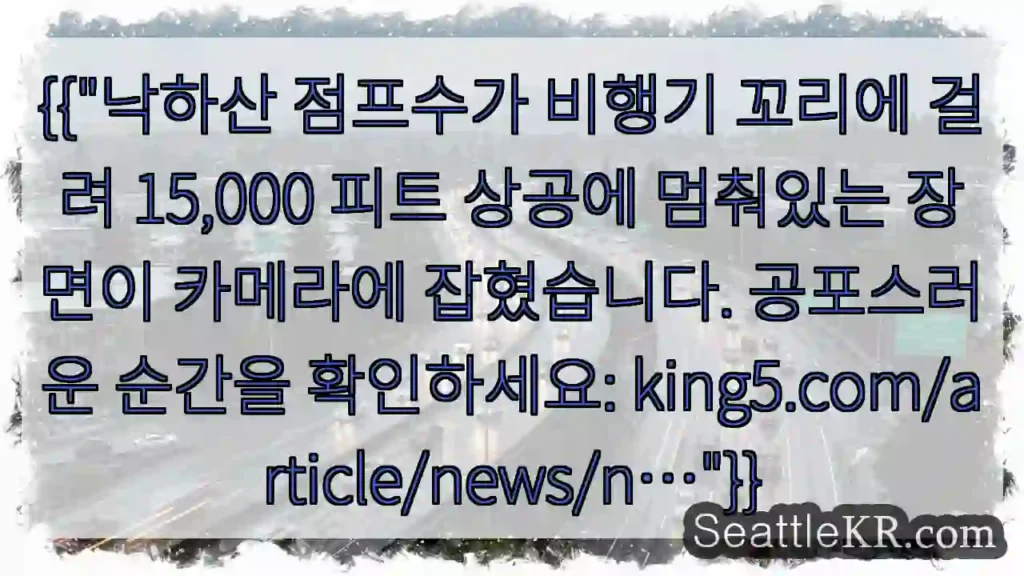 낙하산 꼬리 걸림!