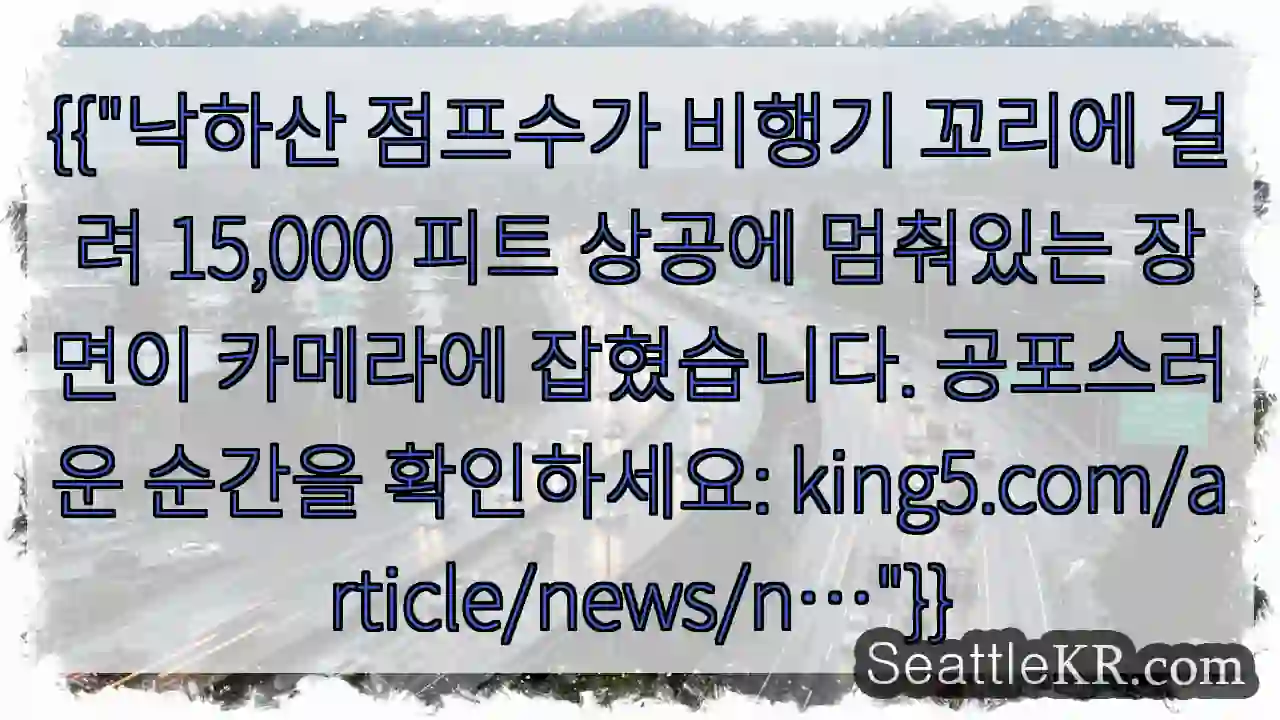 낙하산 꼬리 걸림!