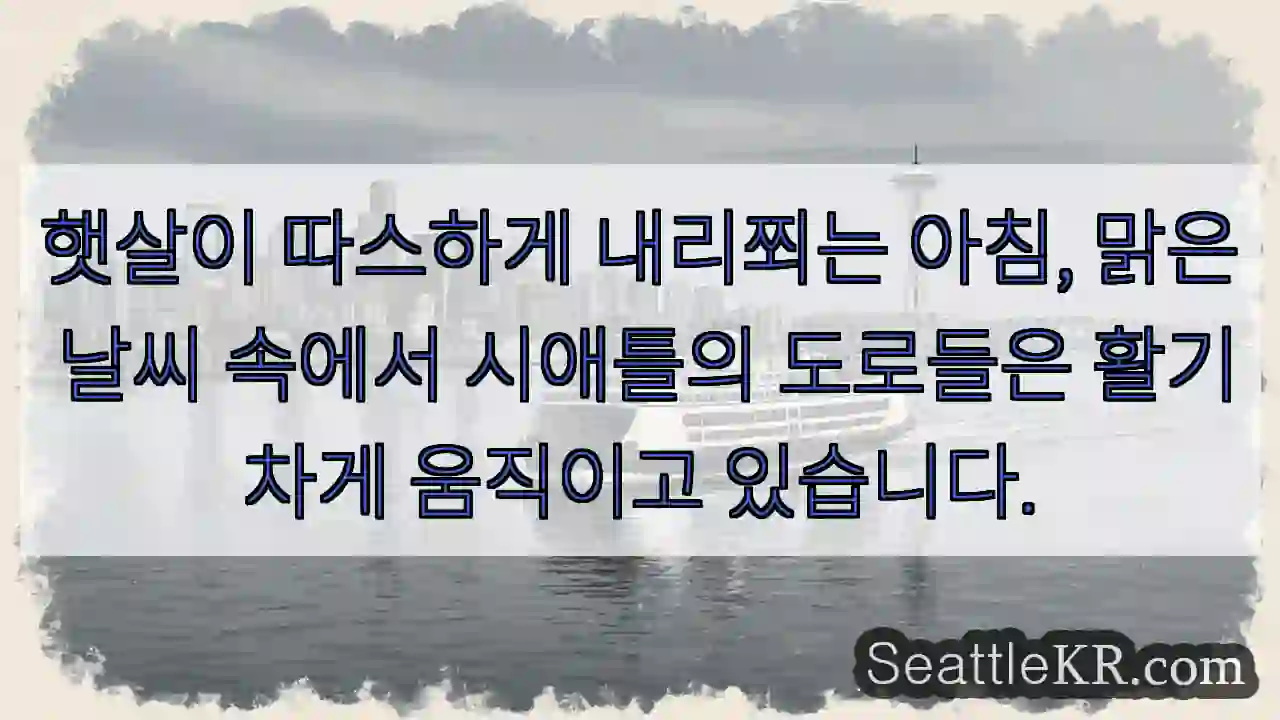 햇살이 따스하게! 시애틀 활기
