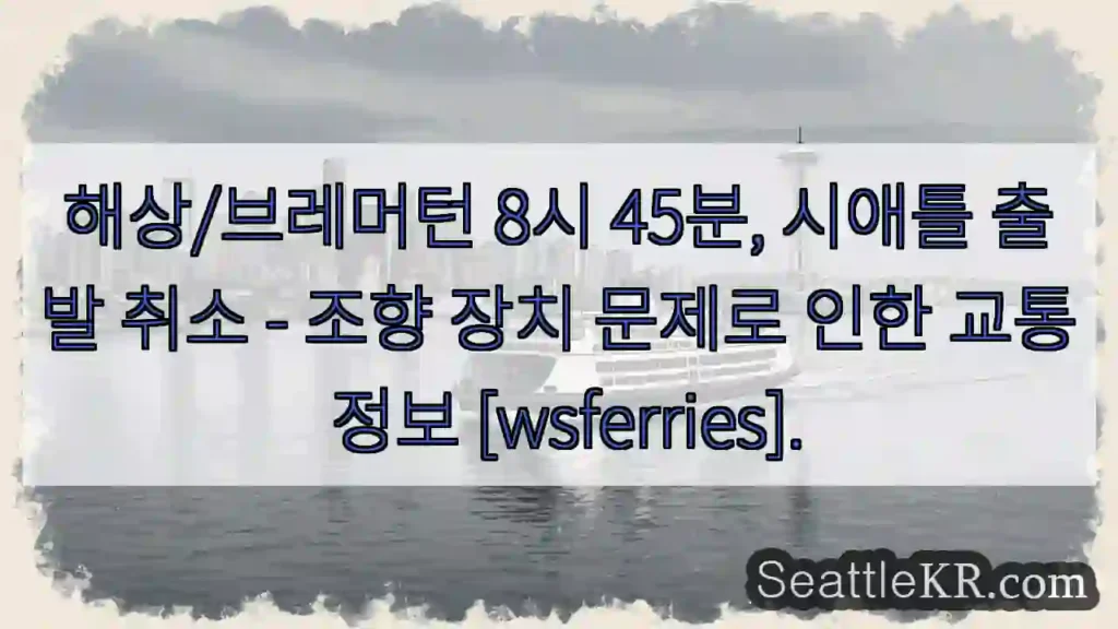 시애틀 출발 취소 - 조향 문제