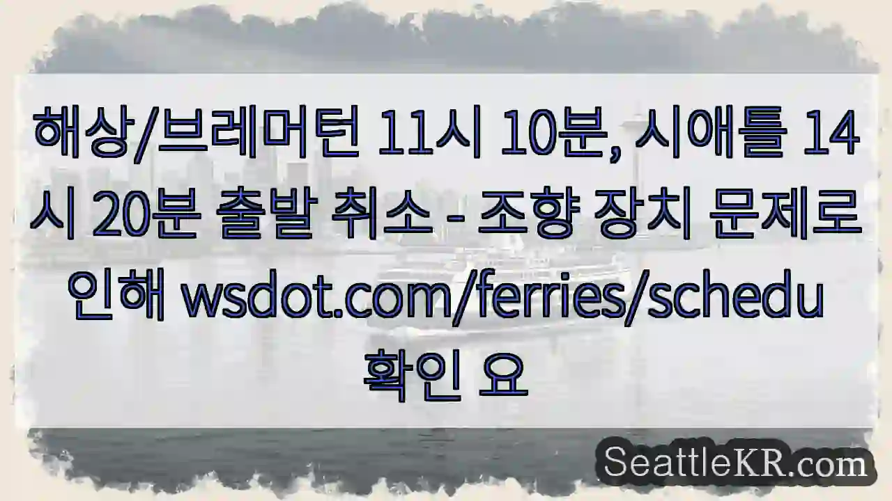 운항 취소! 조향 문제