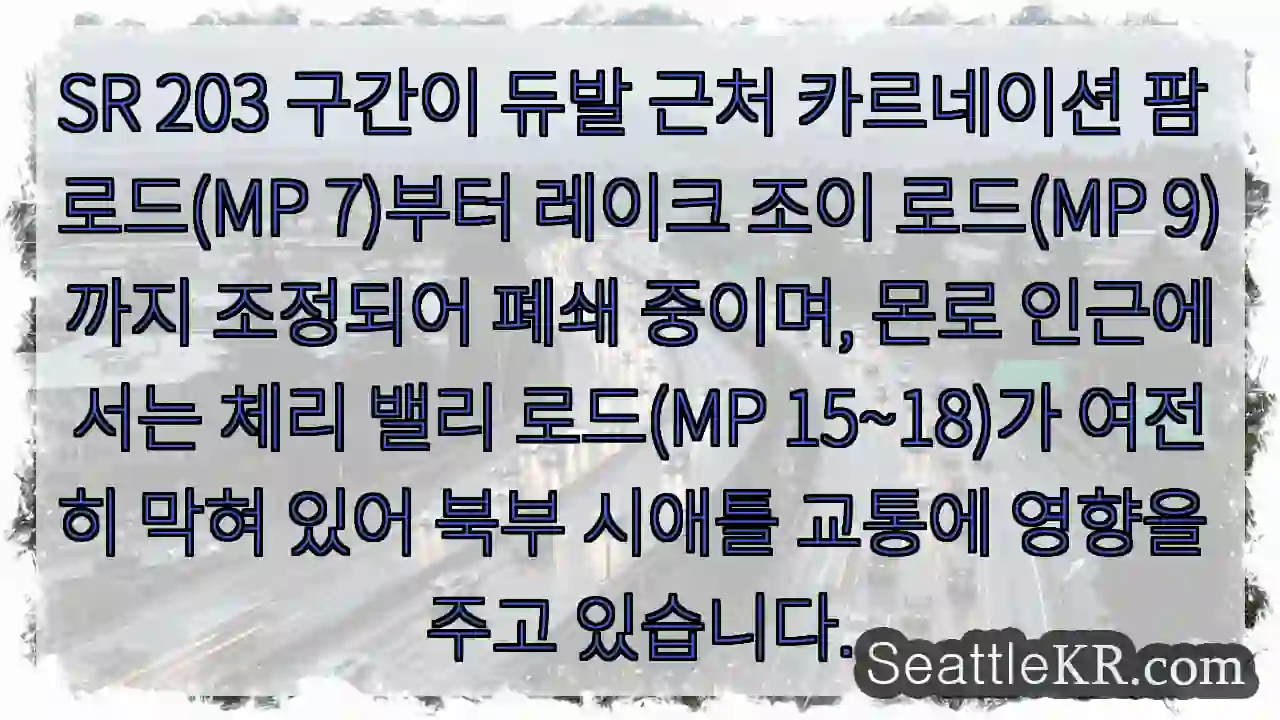 SR 203 폐쇄 구간 확인 1 SR 203 폐쇄 구간 확인