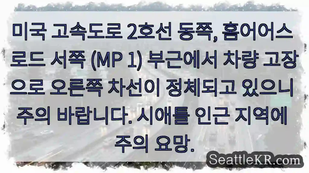 고장 차량, 오른쪽 차선 정체 주의!