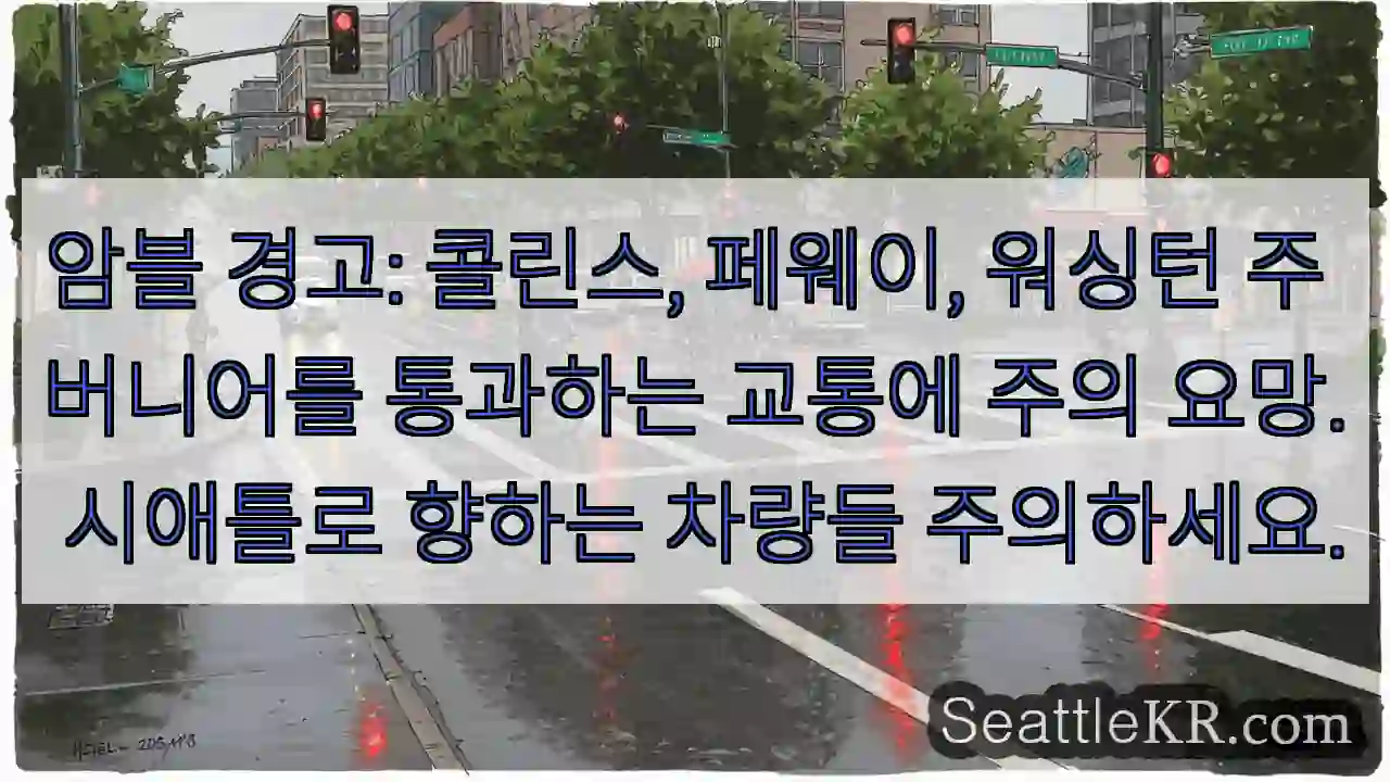 주의: 암블, 콜린스, 페웨이 교통 위험