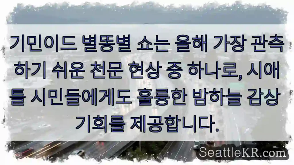 기민이드 별똥별, 밤하늘을 수놓다