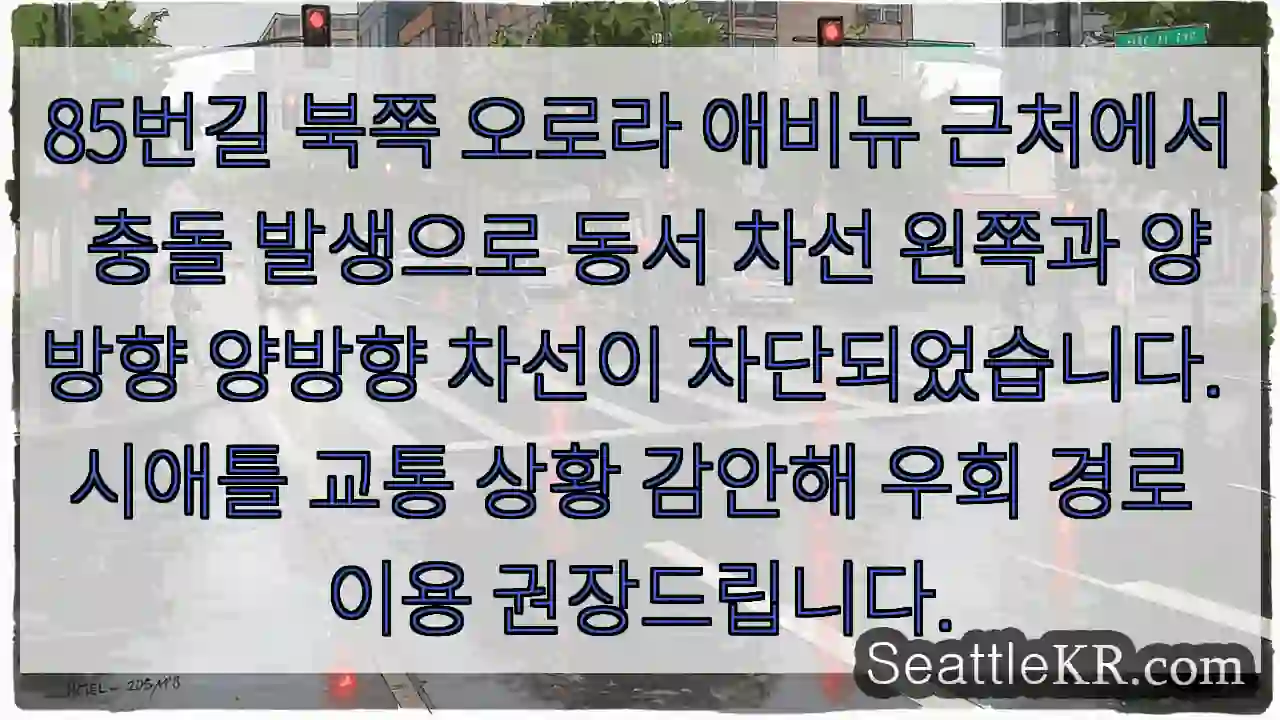 충돌! 85번길 오로라 애비뉴 우회 필수