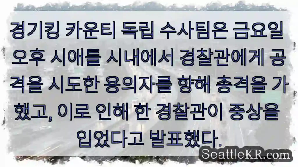 용의자에게 발사, 경찰관 중상