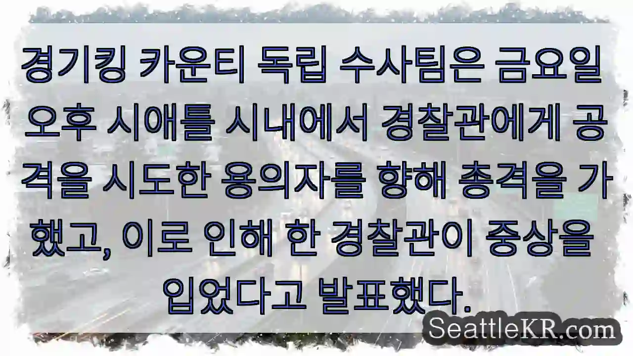 용의자에게 발사, 경찰관 중상