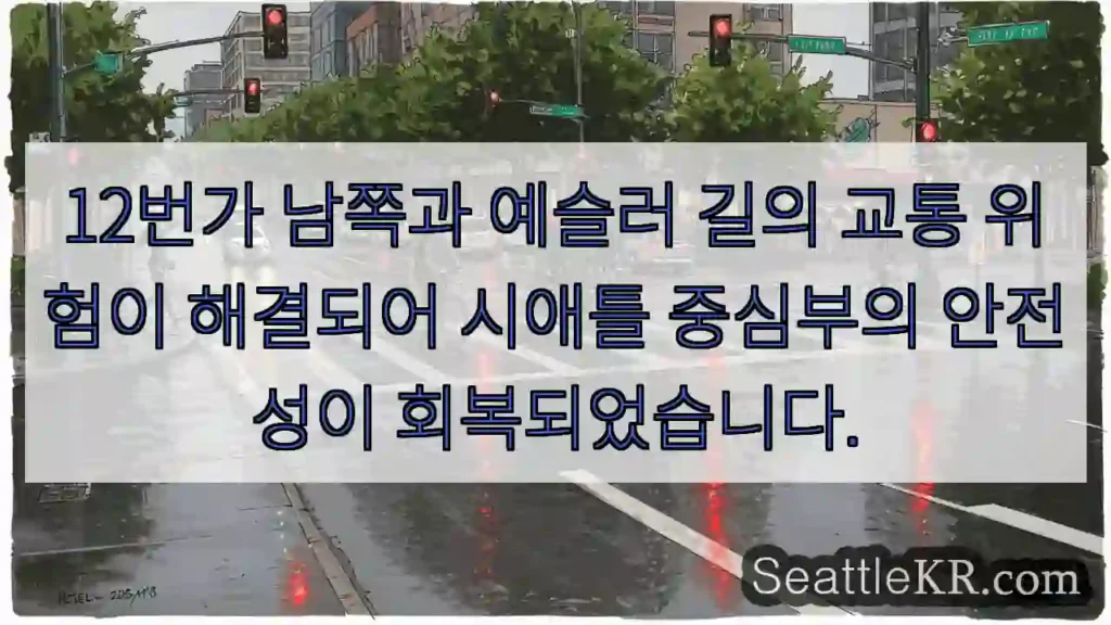 교통 위험 해결! 안전한 12번가