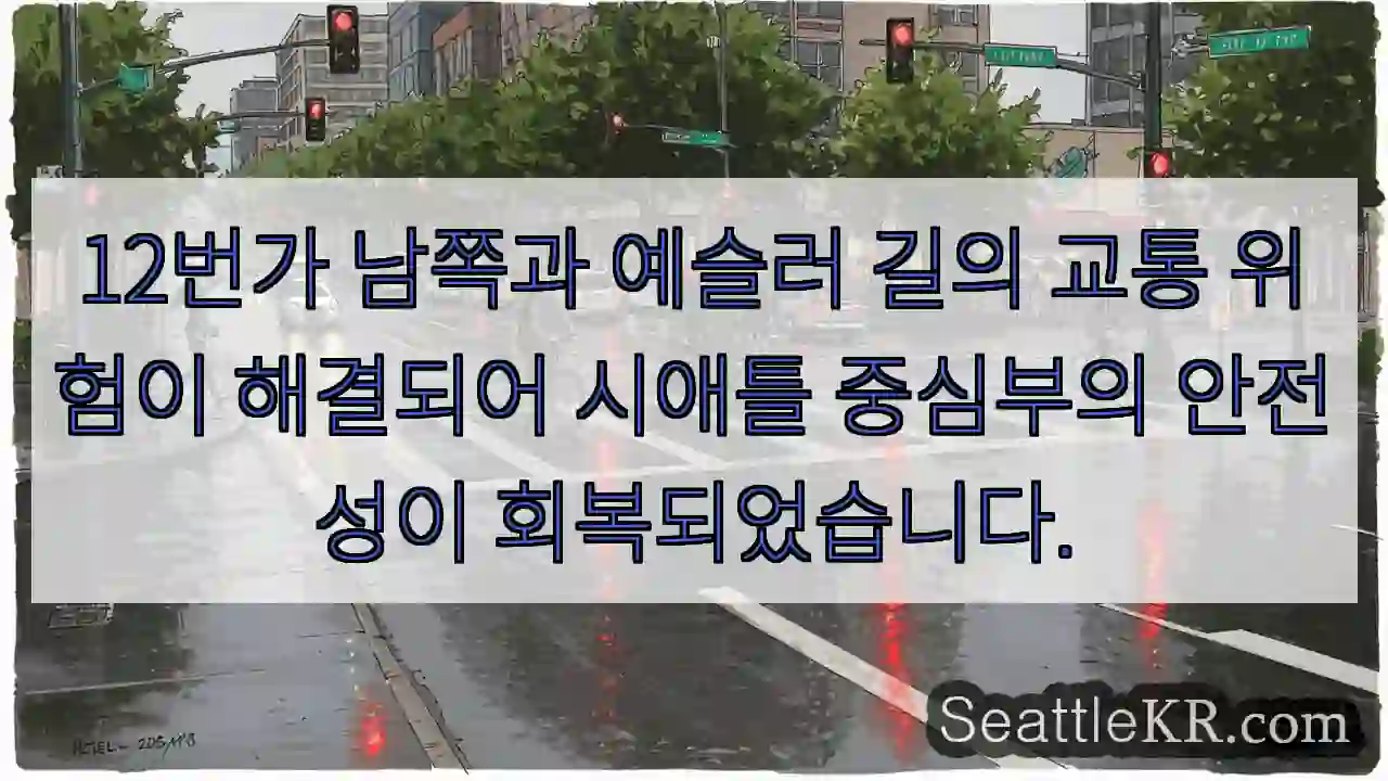 교통 위험 해결! 안전한 12번가