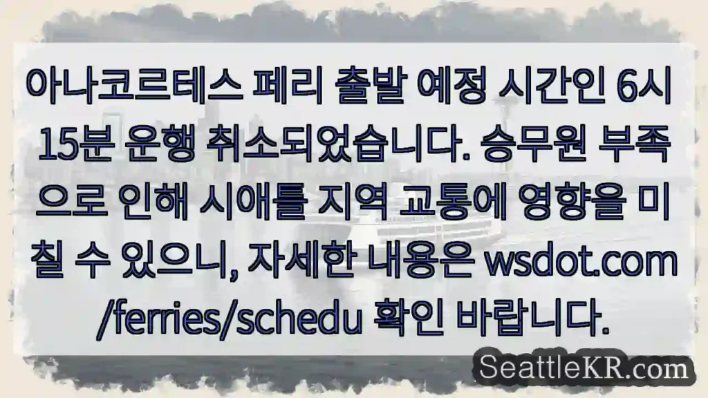 아나코르테스 페리 운행 취소!