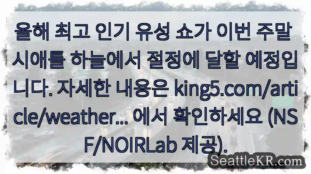 시애틀 교통뉴스 1 하늘쇼 최고조! 시애틀