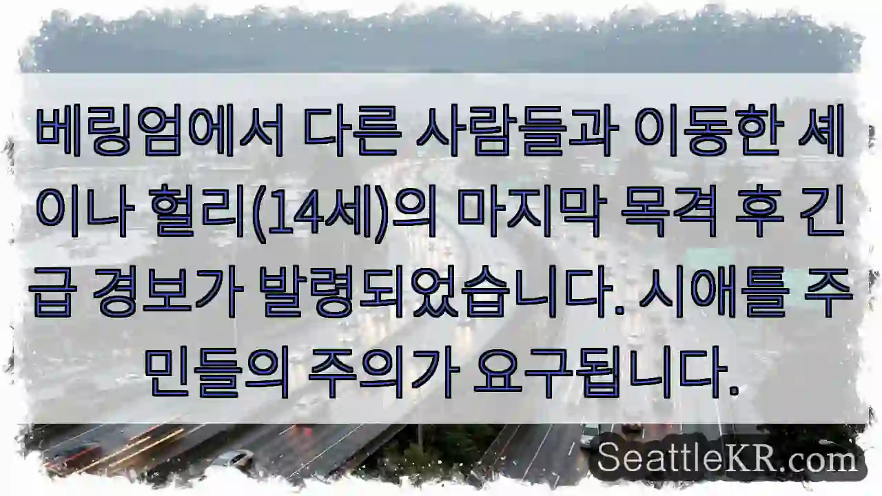 경보! 셰이나 헐리 실종