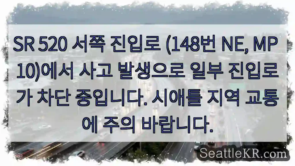 사고! 진입로 차단 중