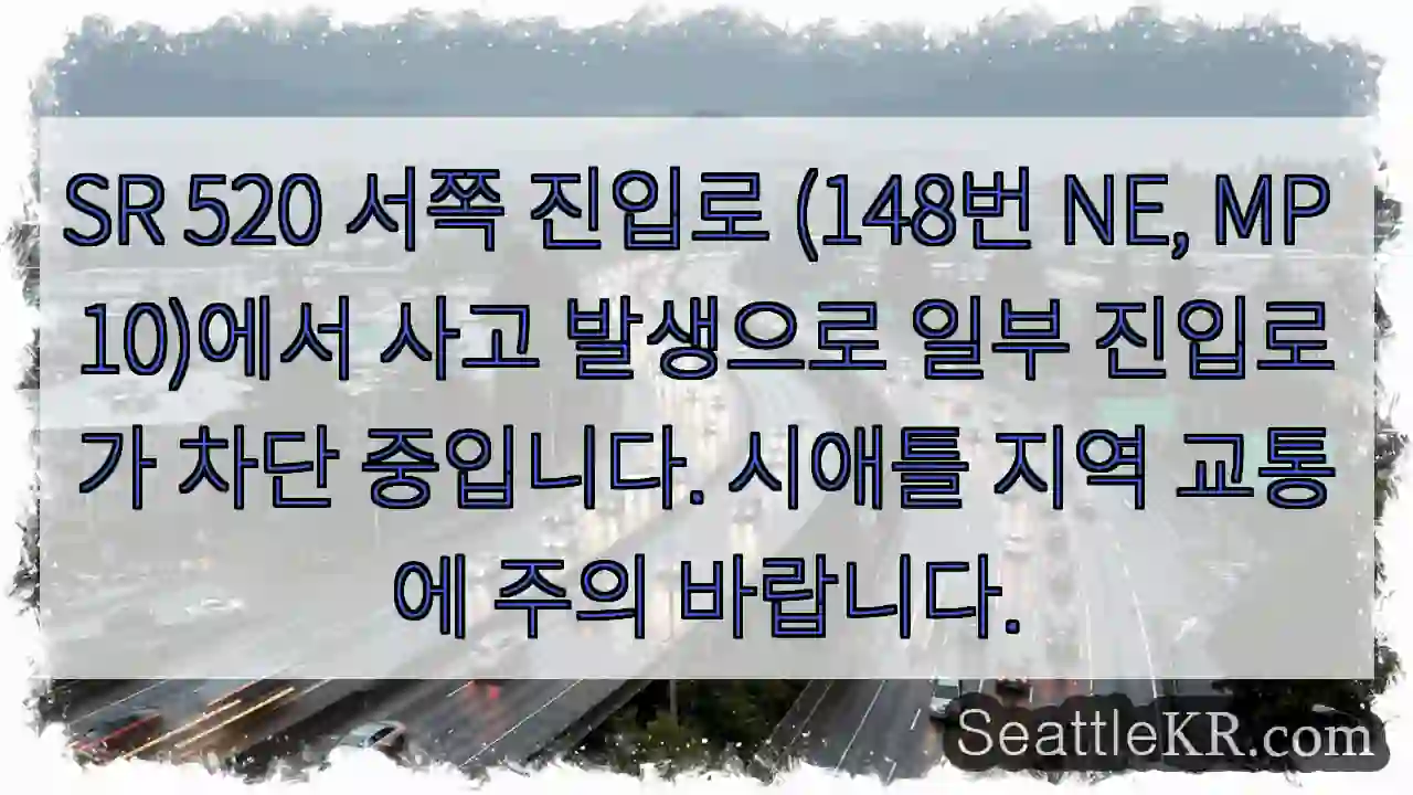 사고! 진입로 차단 중