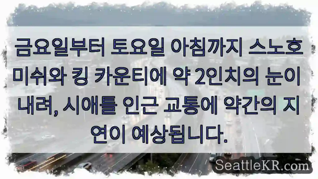 눈 내림, 교통 지연 주의!