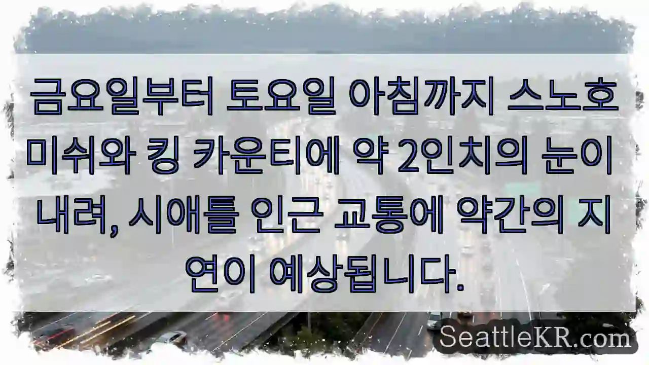 눈 내림, 교통 지연 주의!