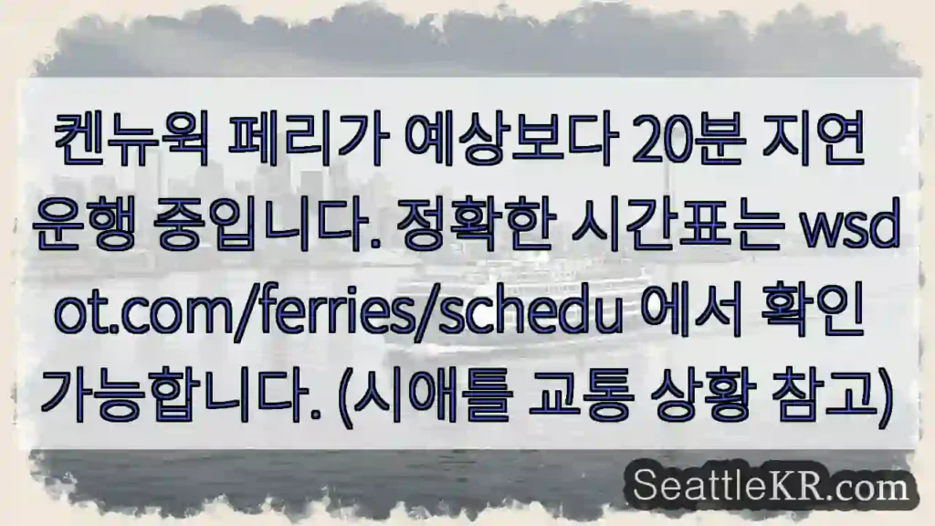 페리 지연 20분, 확인 요!