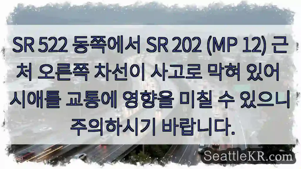 사고! SR 202 근처 주의
