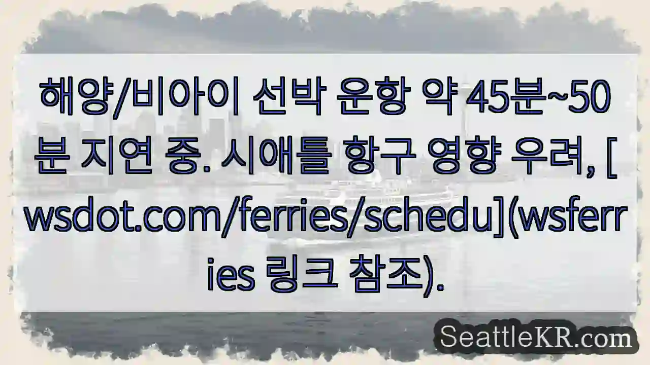 운항 지연, 확인 요!