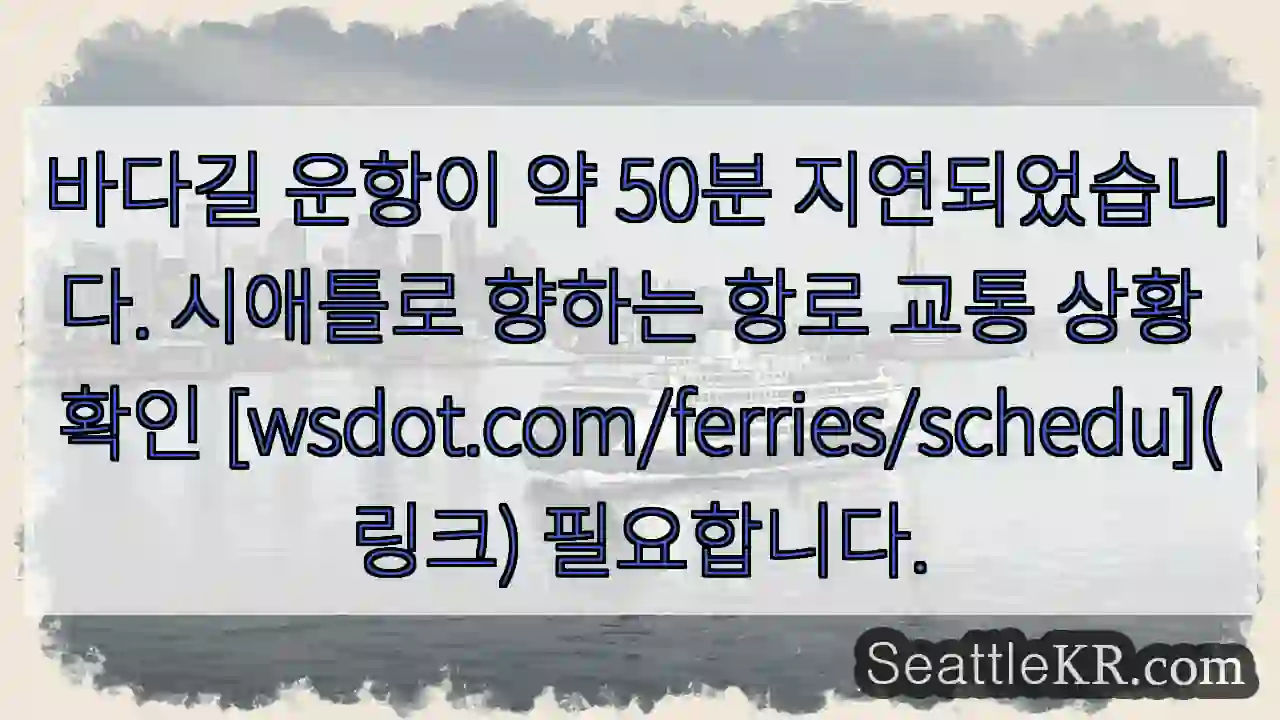 운항 지연 50분! 확인 필수