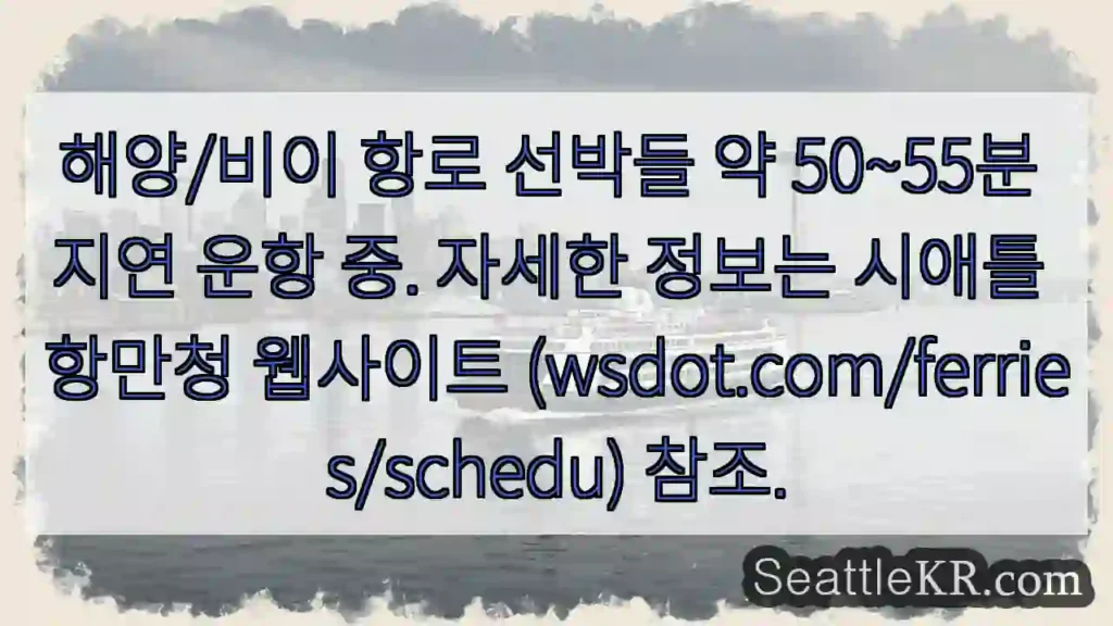 운항 지연! 50~55분