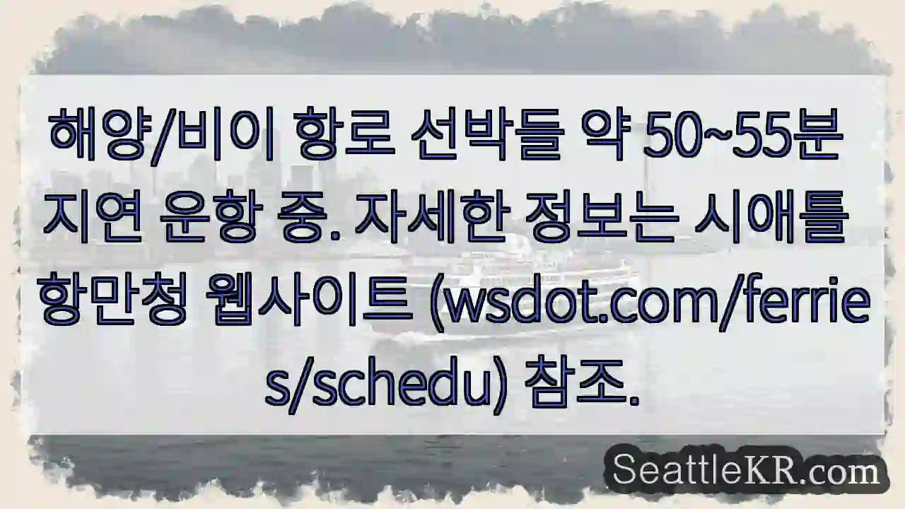 운항 지연! 50~55분