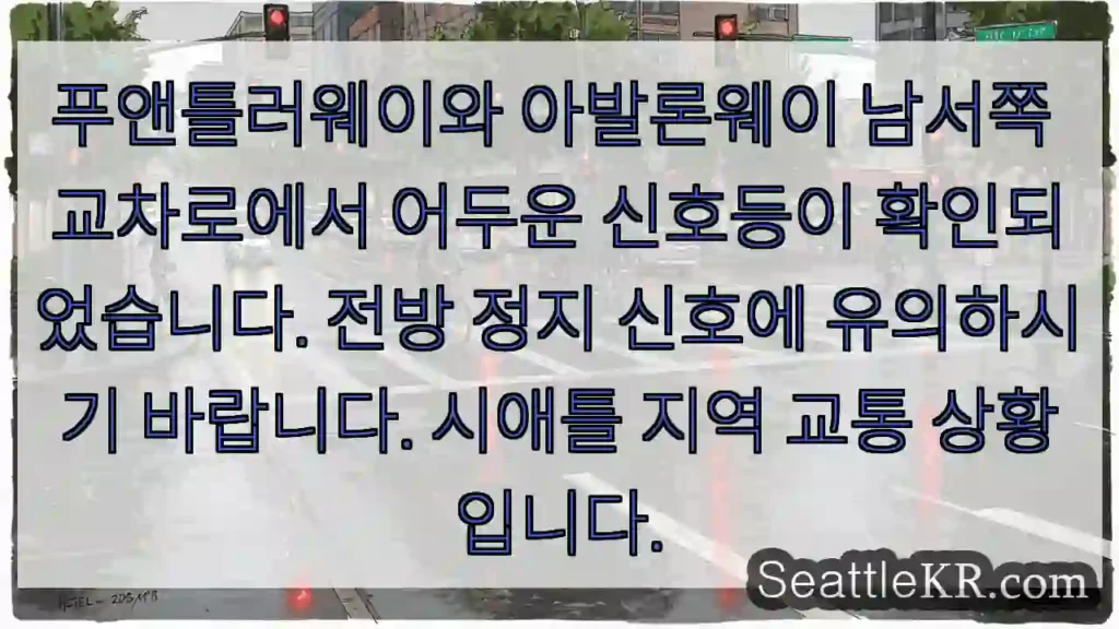 주의: 어두운 신호등! 정지