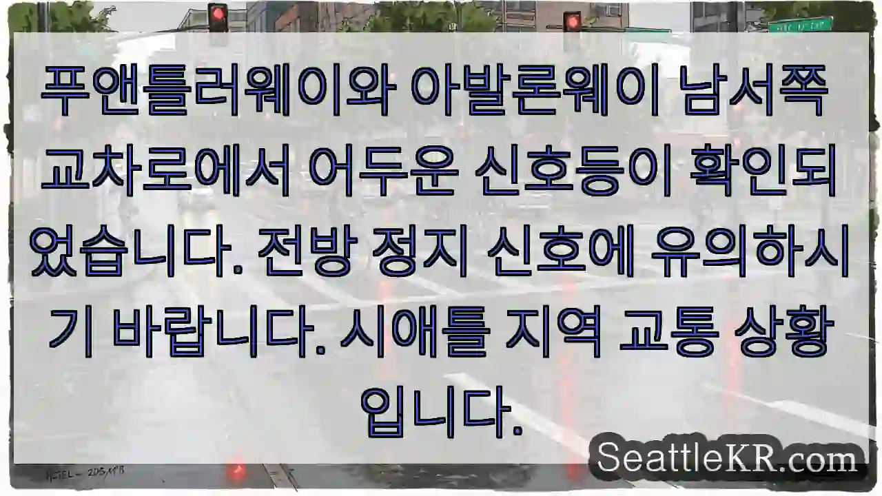 주의: 어두운 신호등! 정지