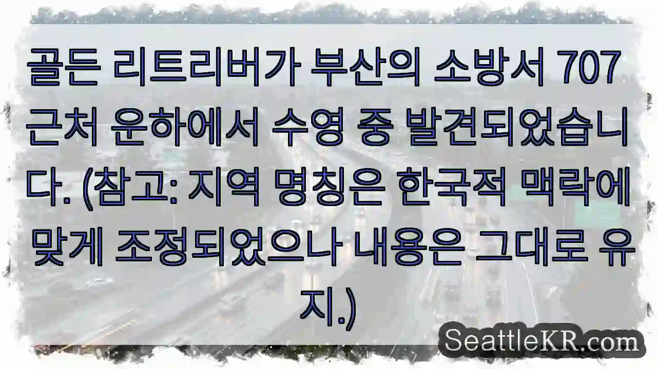 그랜드 리트리버, 운하 수영!