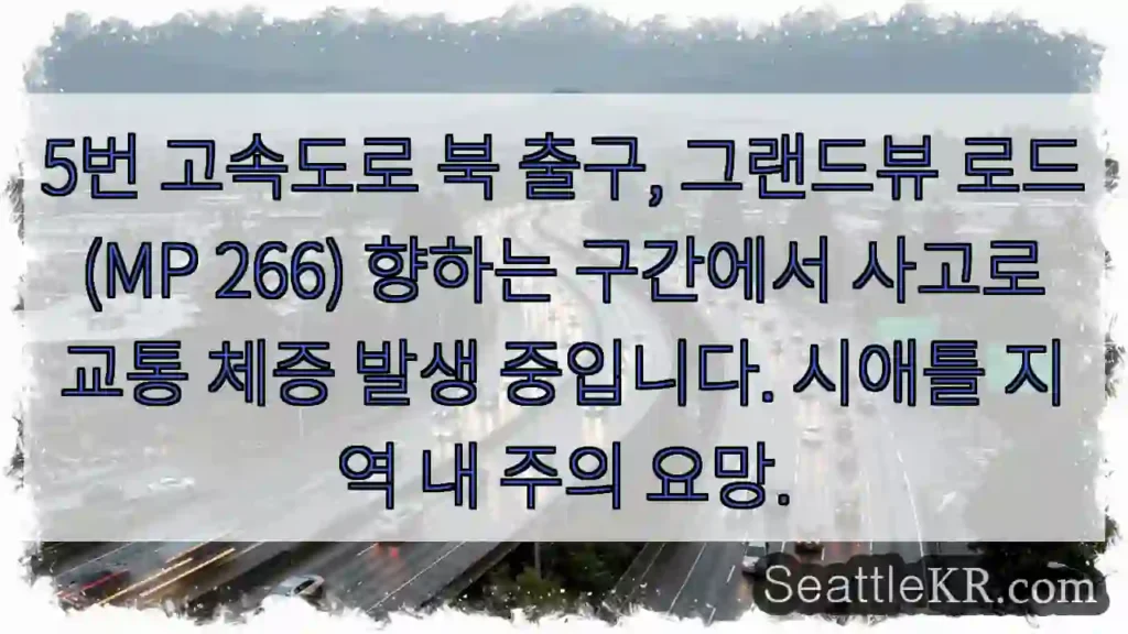 사고! 5번 고속도로 북 출구 정체