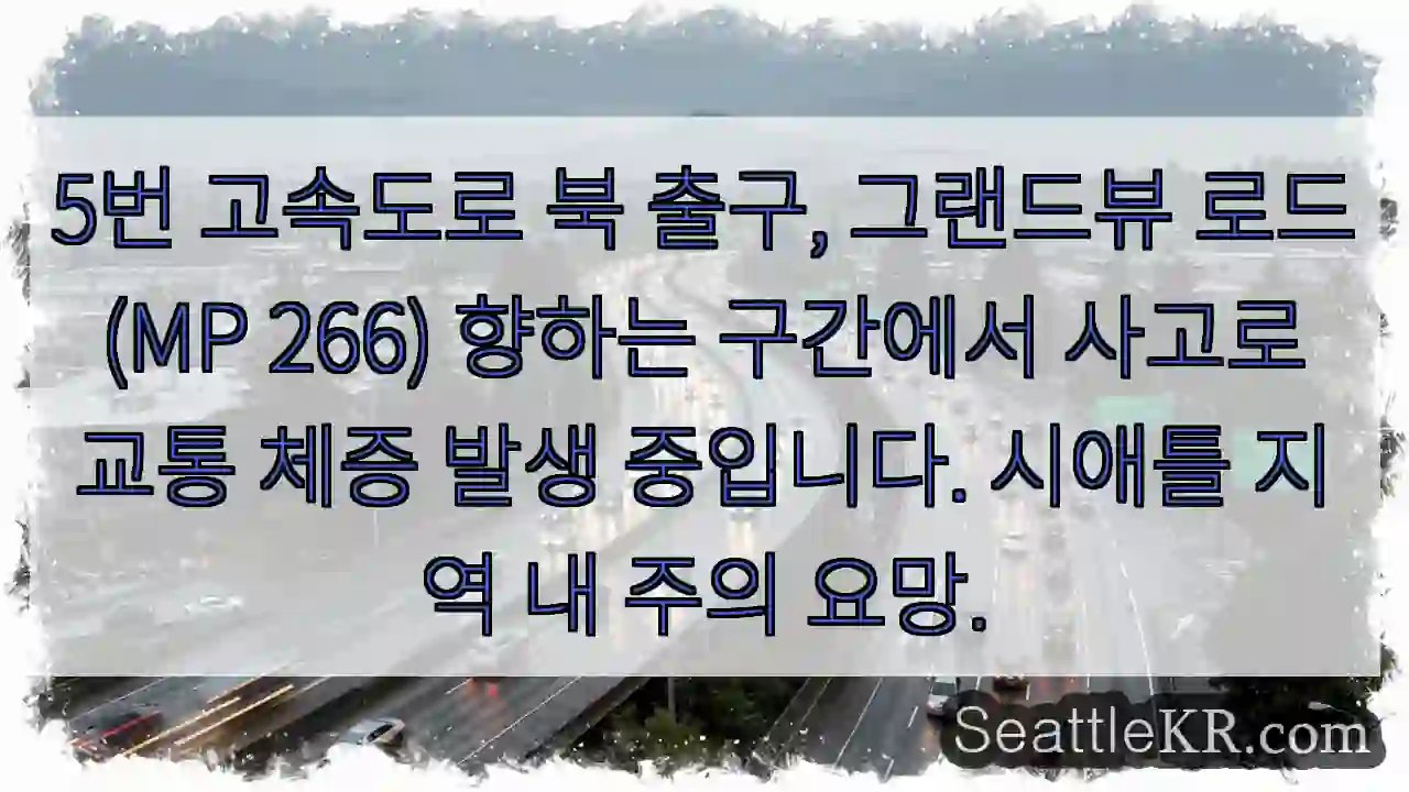 사고! 5번 고속도로 북 출구 정체