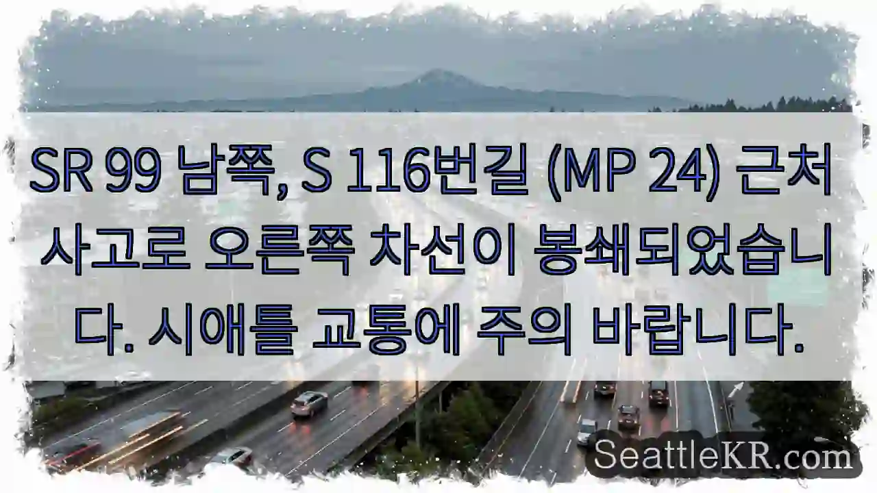 사고! 오른쪽 차선 통행 불가