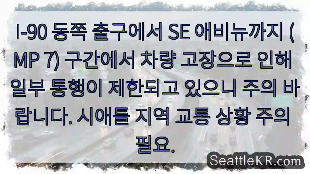 차량 고장! 통행 주의
