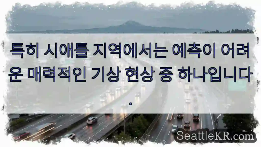 시애틀 기상의 신비