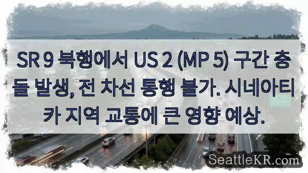 충돌! 전 차선 통행 불가