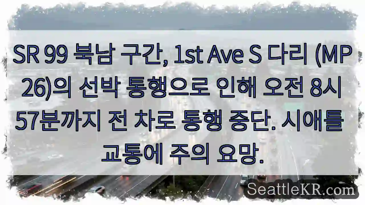 차량 통행 중단! 다리 위 선박 통행