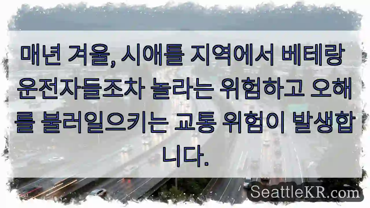 겨울 시애틀, 위험한 함정!
