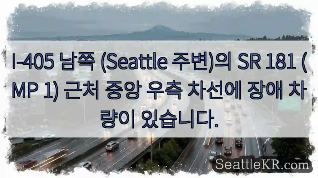 차량 정차! 중앙 우측 차선 주의