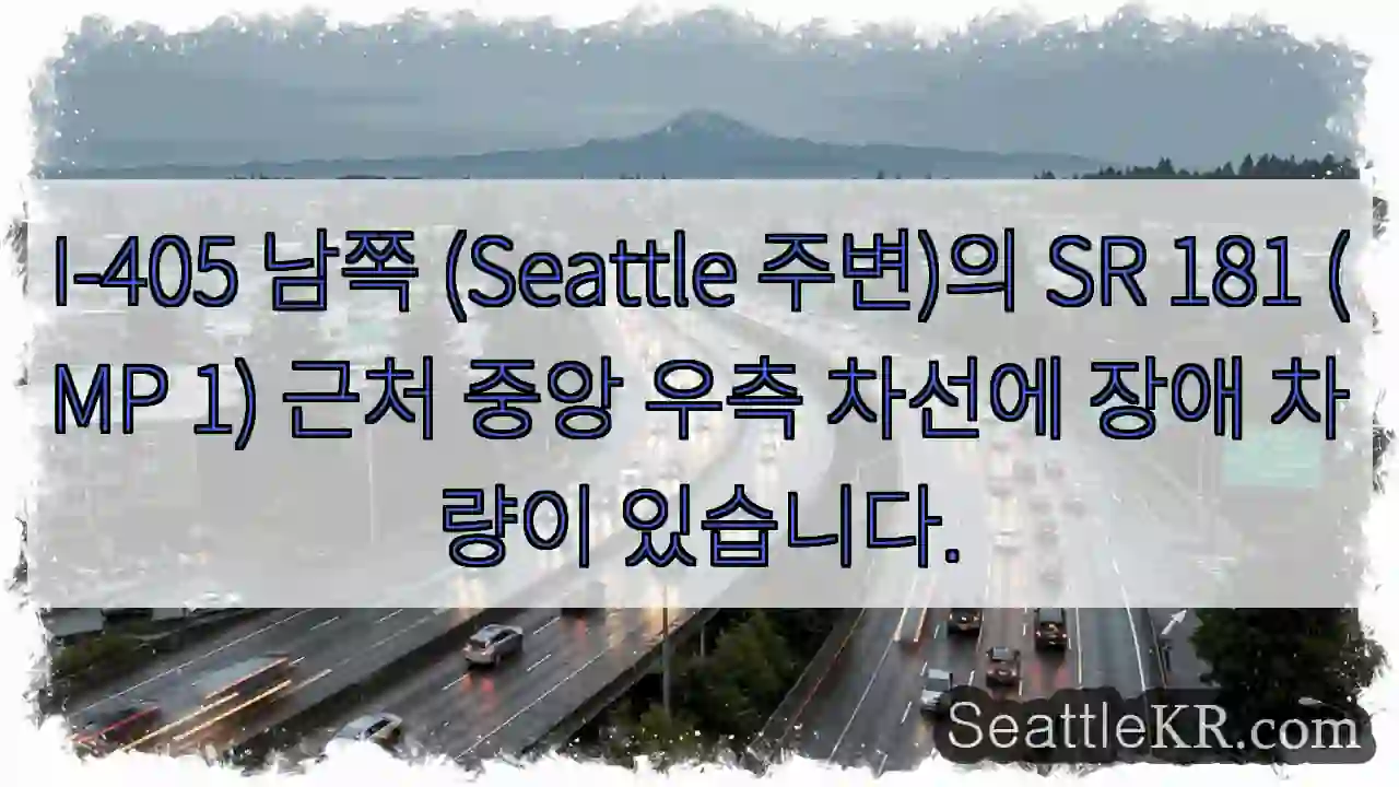 차량 정차! 중앙 우측 차선 주의