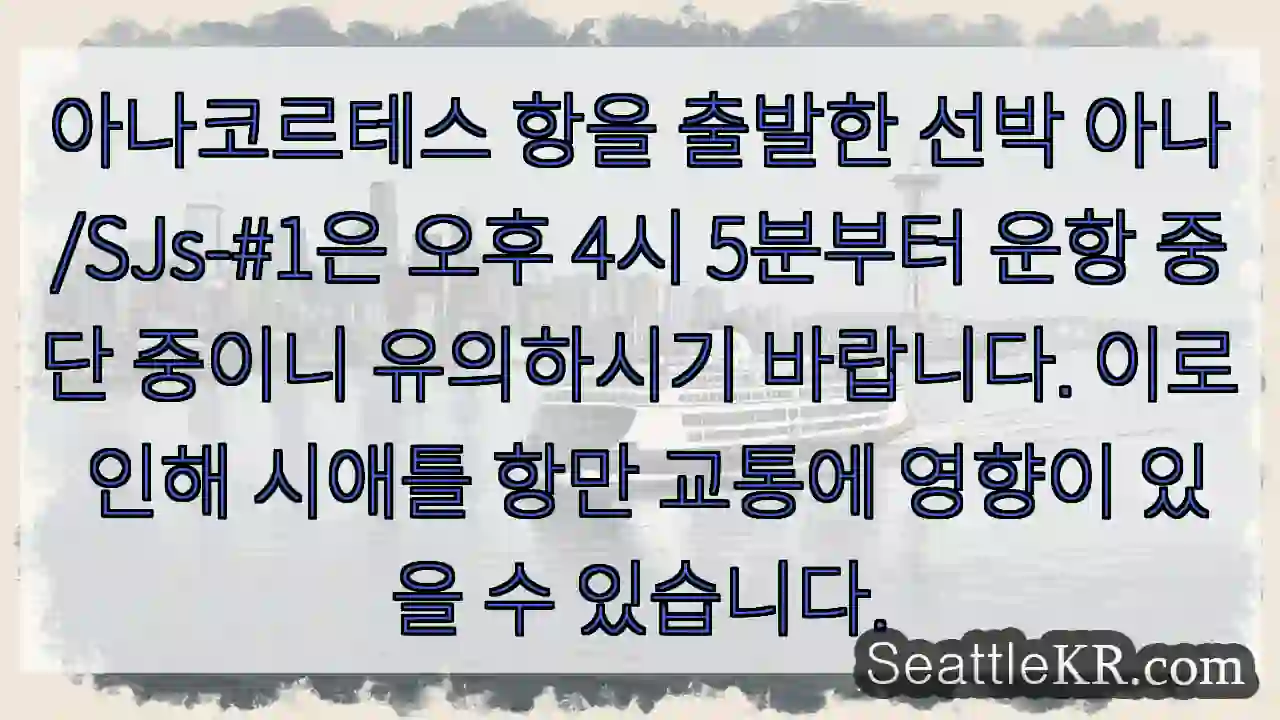 아나코르테스 출항 선박 정지!