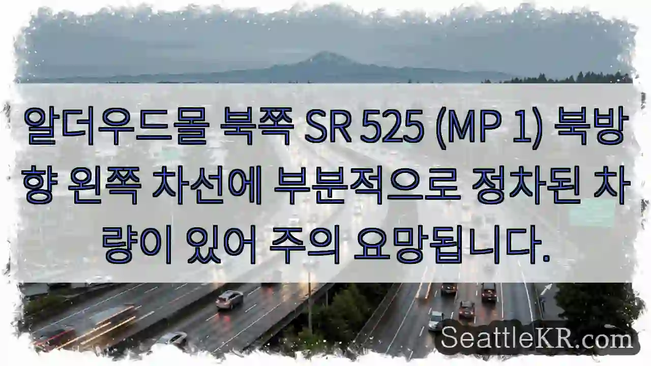 주의: 알더우드몰 북쪽, 차량 부분 정차!