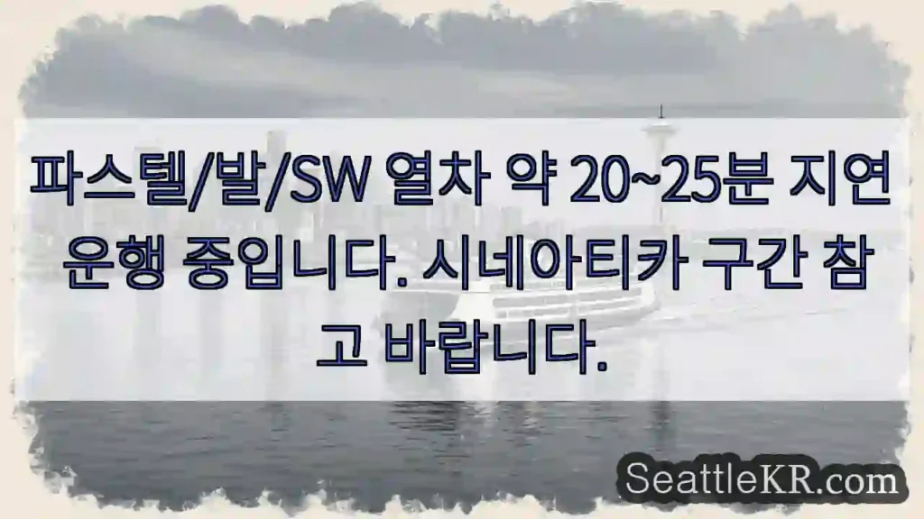 발/SW 지연 20~25분