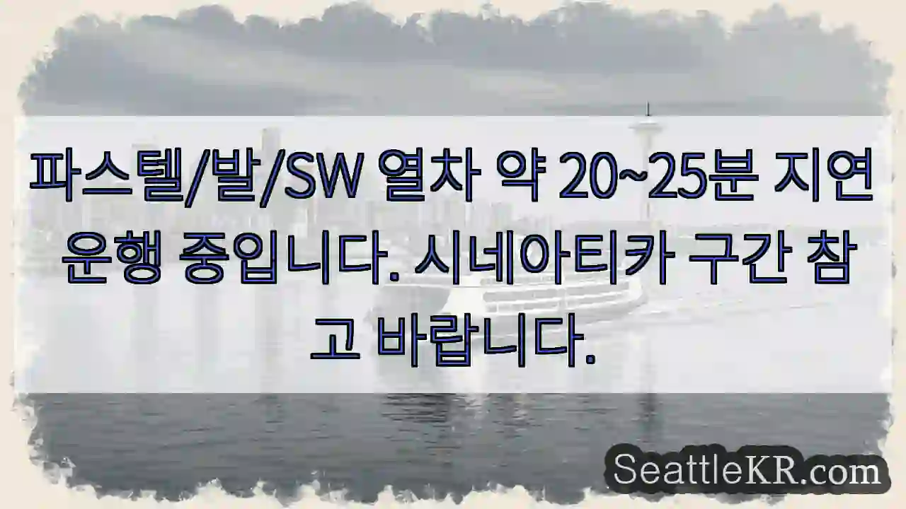 발/SW 지연 20~25분