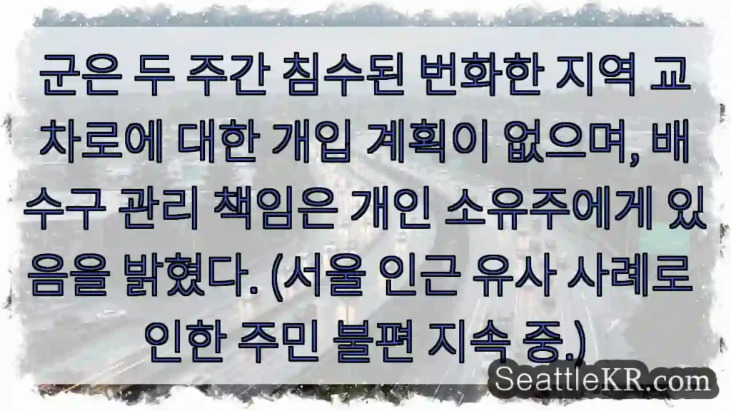 지역 침수, 군 개입 미비