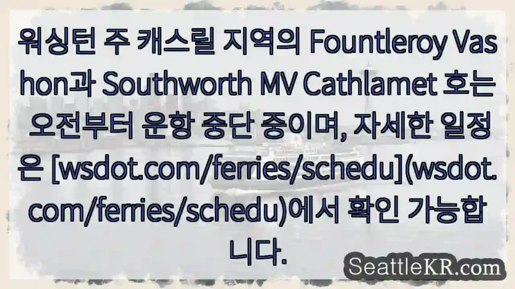 여객선 운항 중단 중