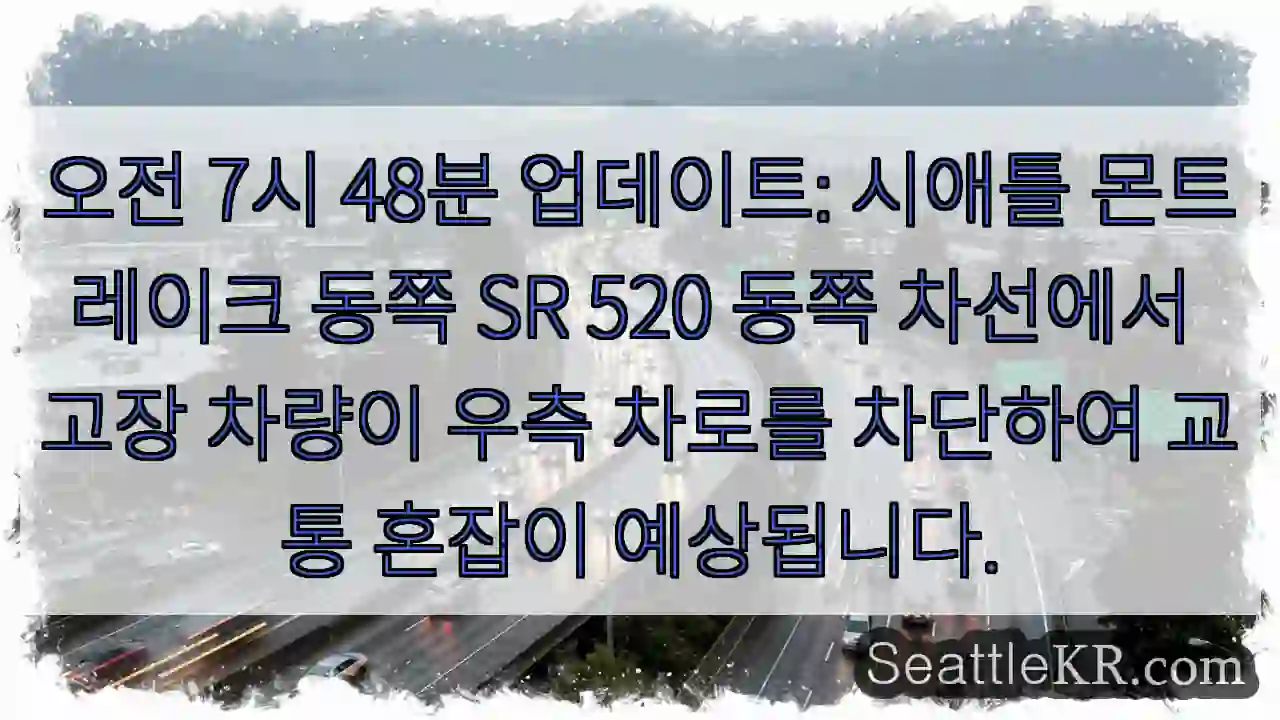 시애틀 SR 520 교통 혼잡