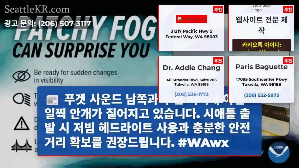 안개 주의! 안전운전 필수