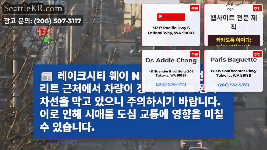 차량 정차! 왼쪽 차선 주의