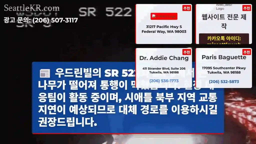 나무 떨어져 통행 중단!